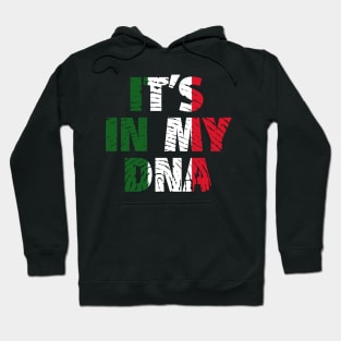 Its In My DNA Italy Flag In Fingerprint Hoodie